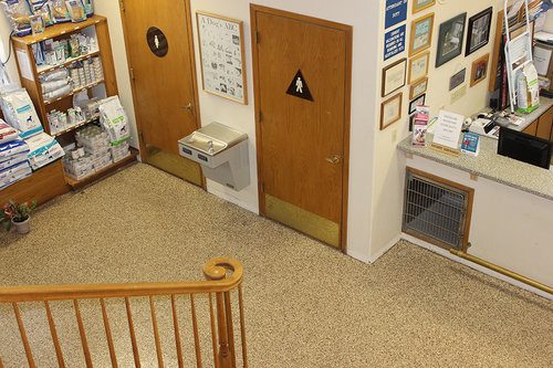 Commercial floor, chip system — Commercial — photo 9